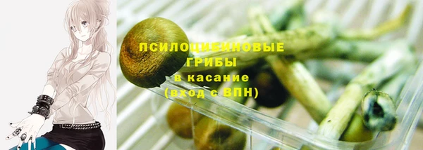 первитин Алексеевка